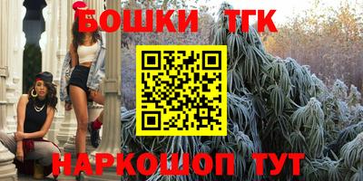 jwh Гатчина