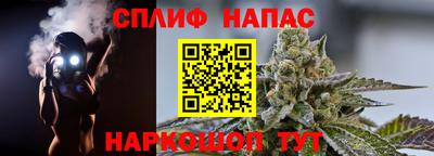 jwh Гатчина