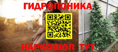 стаф Гусиноозёрск