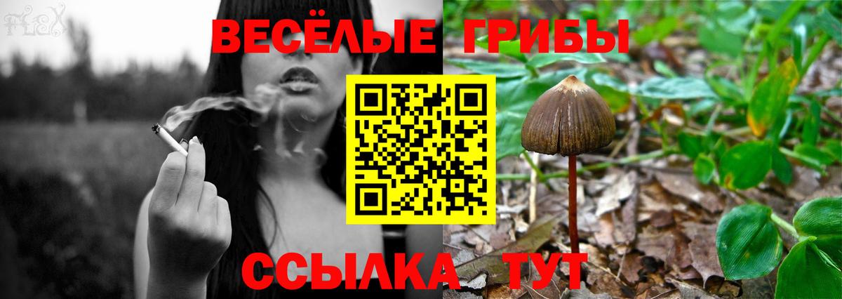 Северск  Галлюциногенные грибы мухоморы  где можно купить наркотик  Вход с VPN 